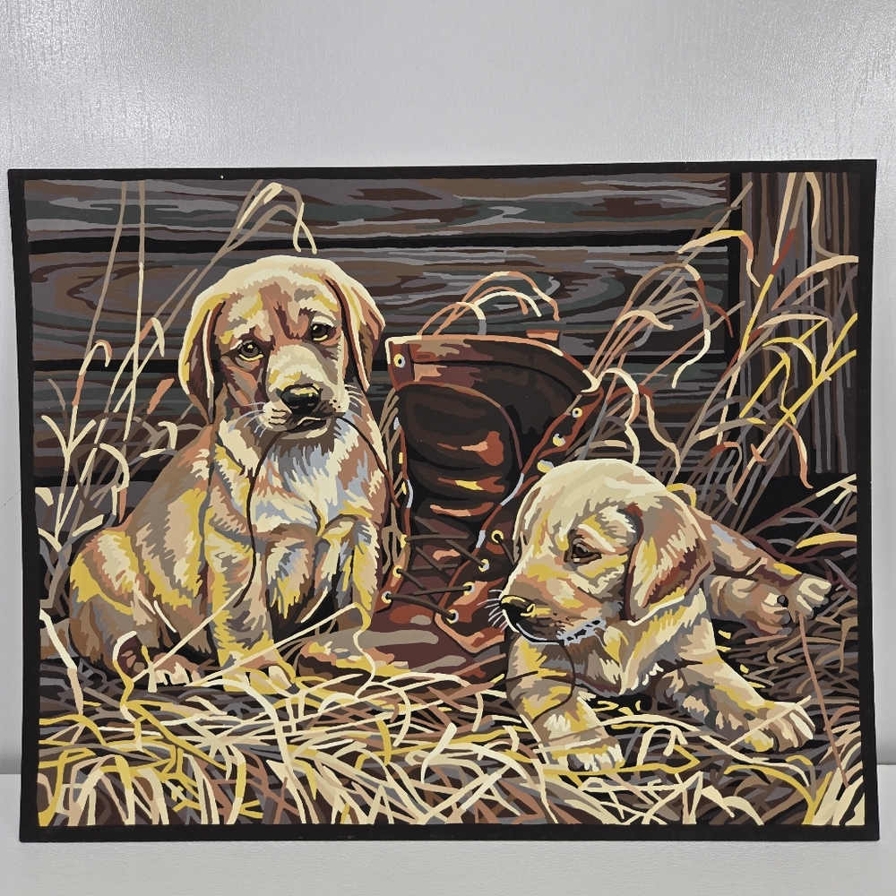 Puppies Plaything Finished‎ Acrylic Painting Paint By Number 14 x 11 Boots Barn
